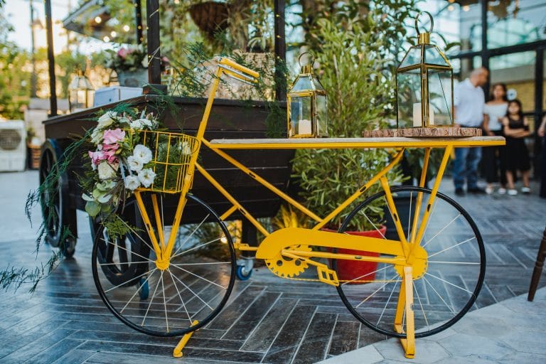 אופניים צהובים - גרייס ראשלצ