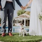 married couple with dog